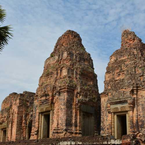 Eastern Mabon, Cambodia