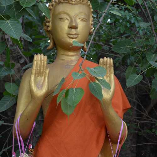 Standing Buddha Figure