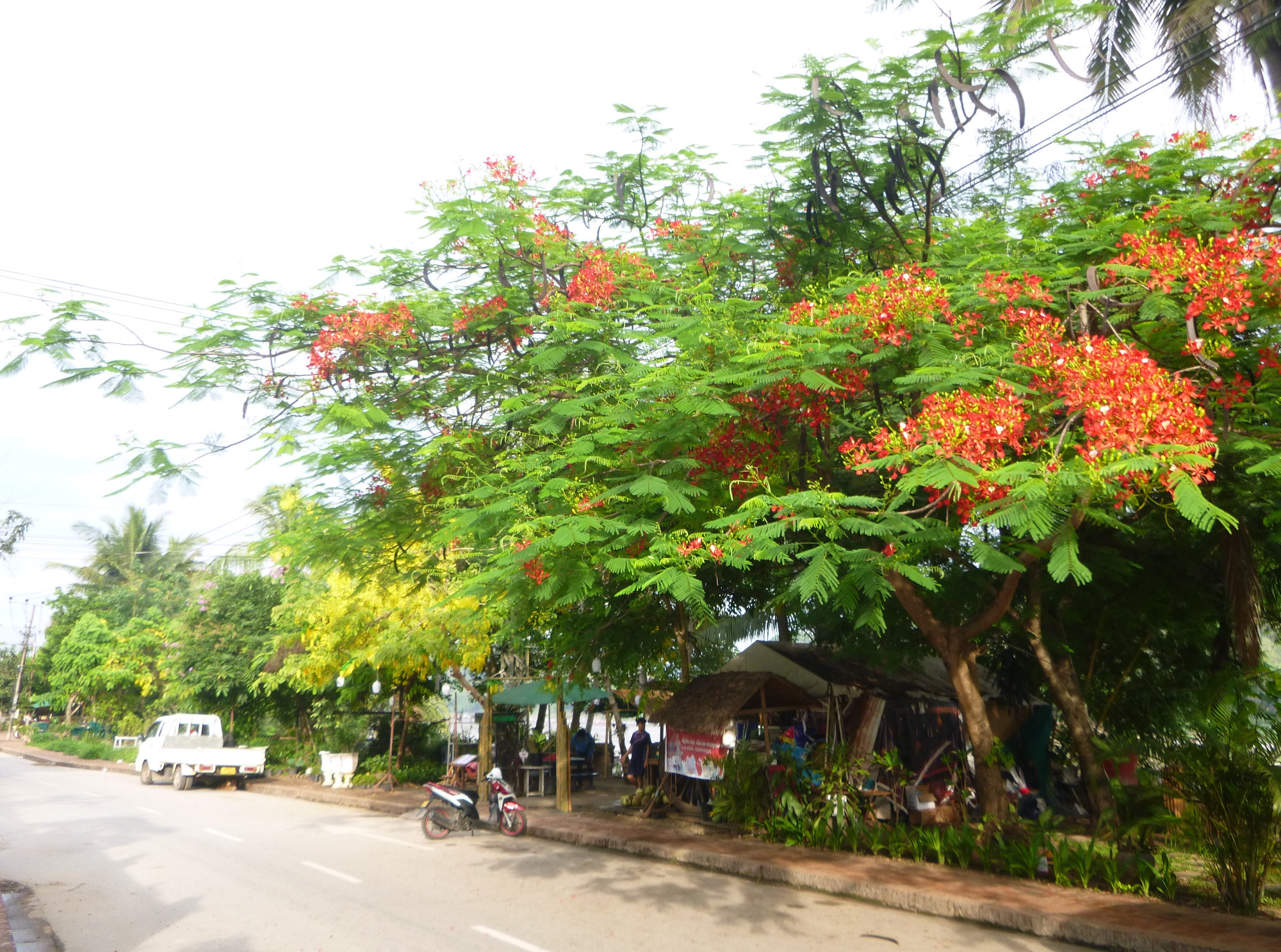 Luang Prabang , Laos