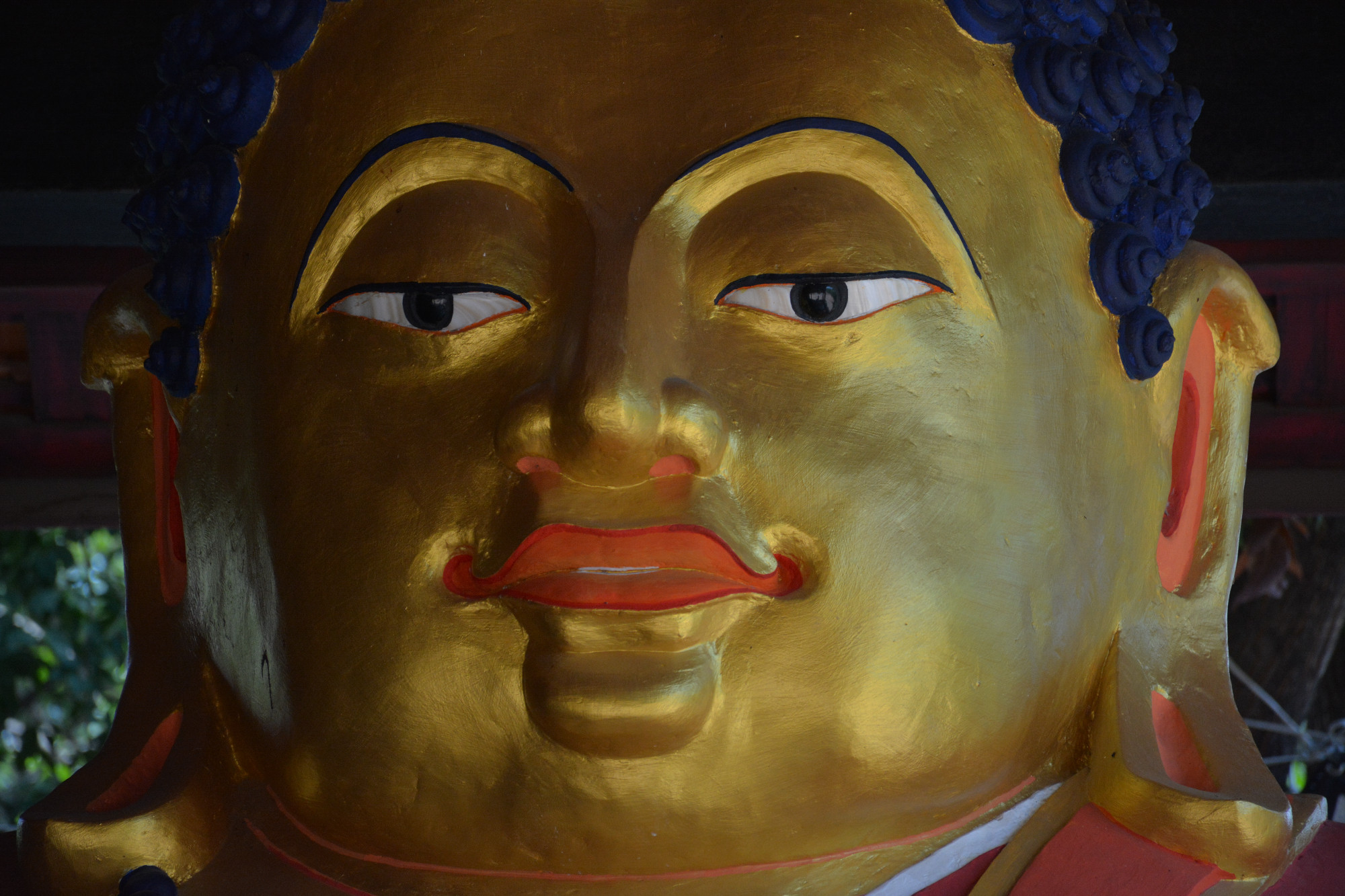 Close up of Buddha