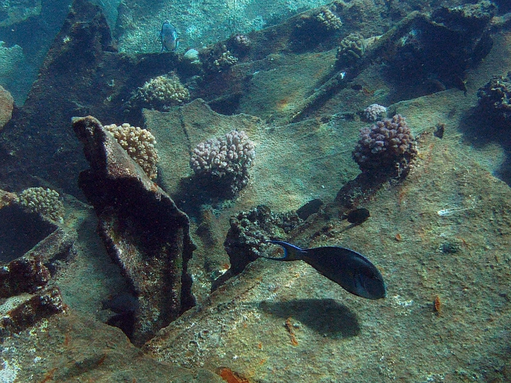 wreck Diving