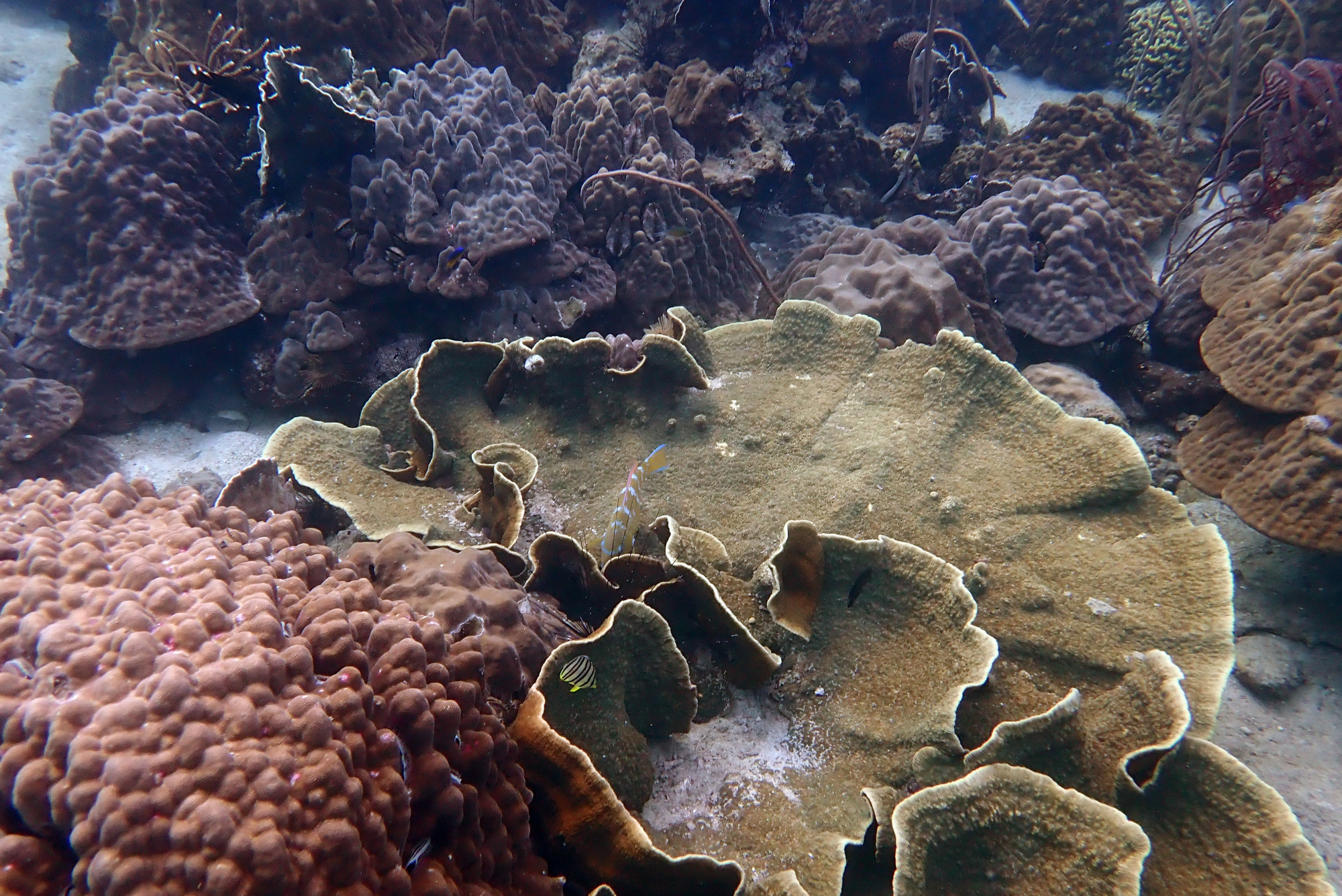 Koh Yak, Thailand