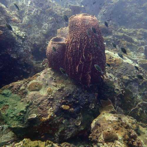 Ko Rang Pinnicle Dive Site, Thailand