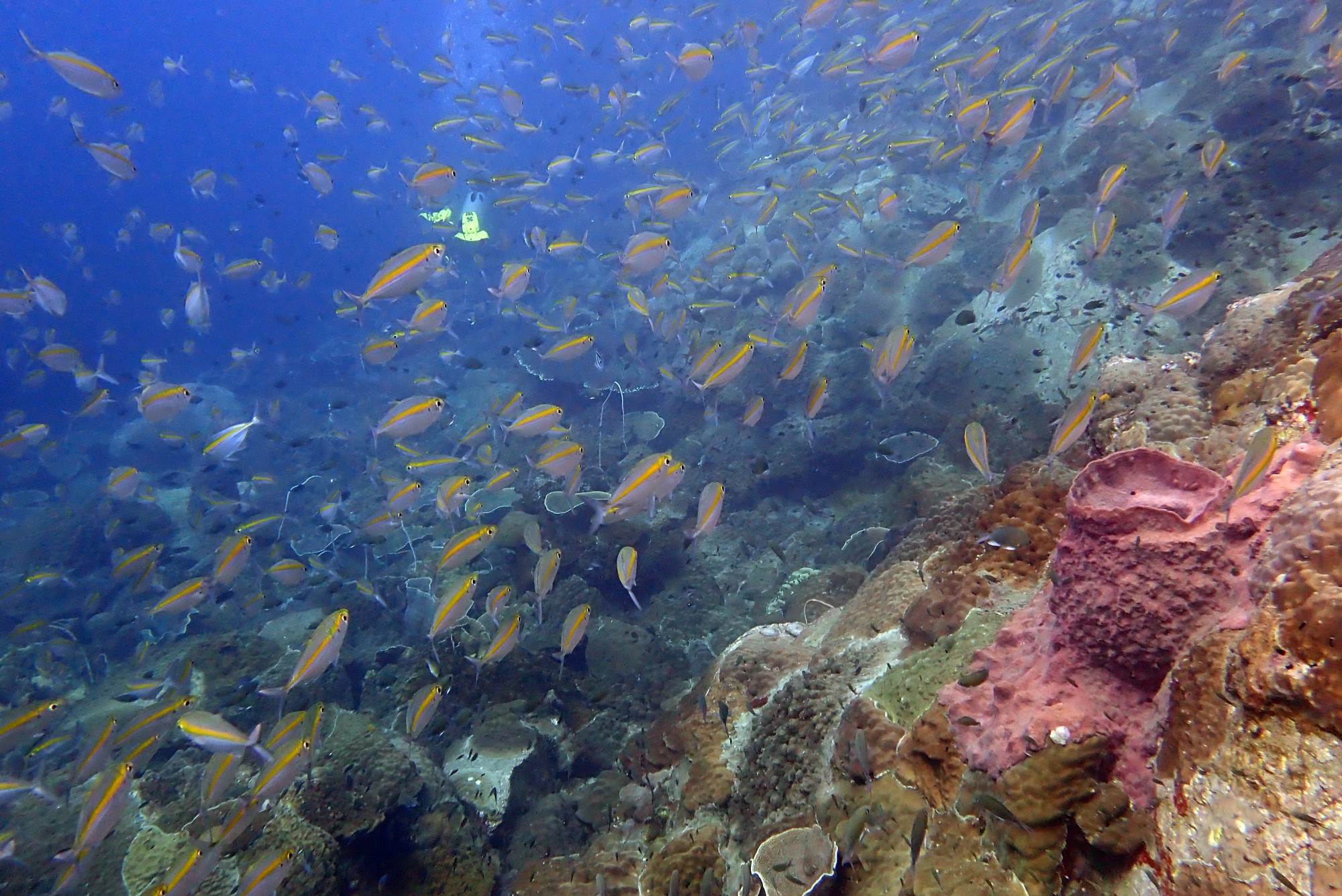 Hin Raab, Thailand