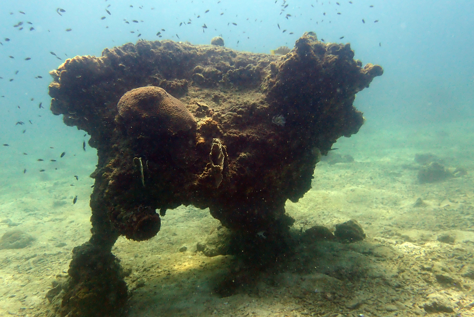 Ko Rang Pinnicle Dive Site, Таиланд