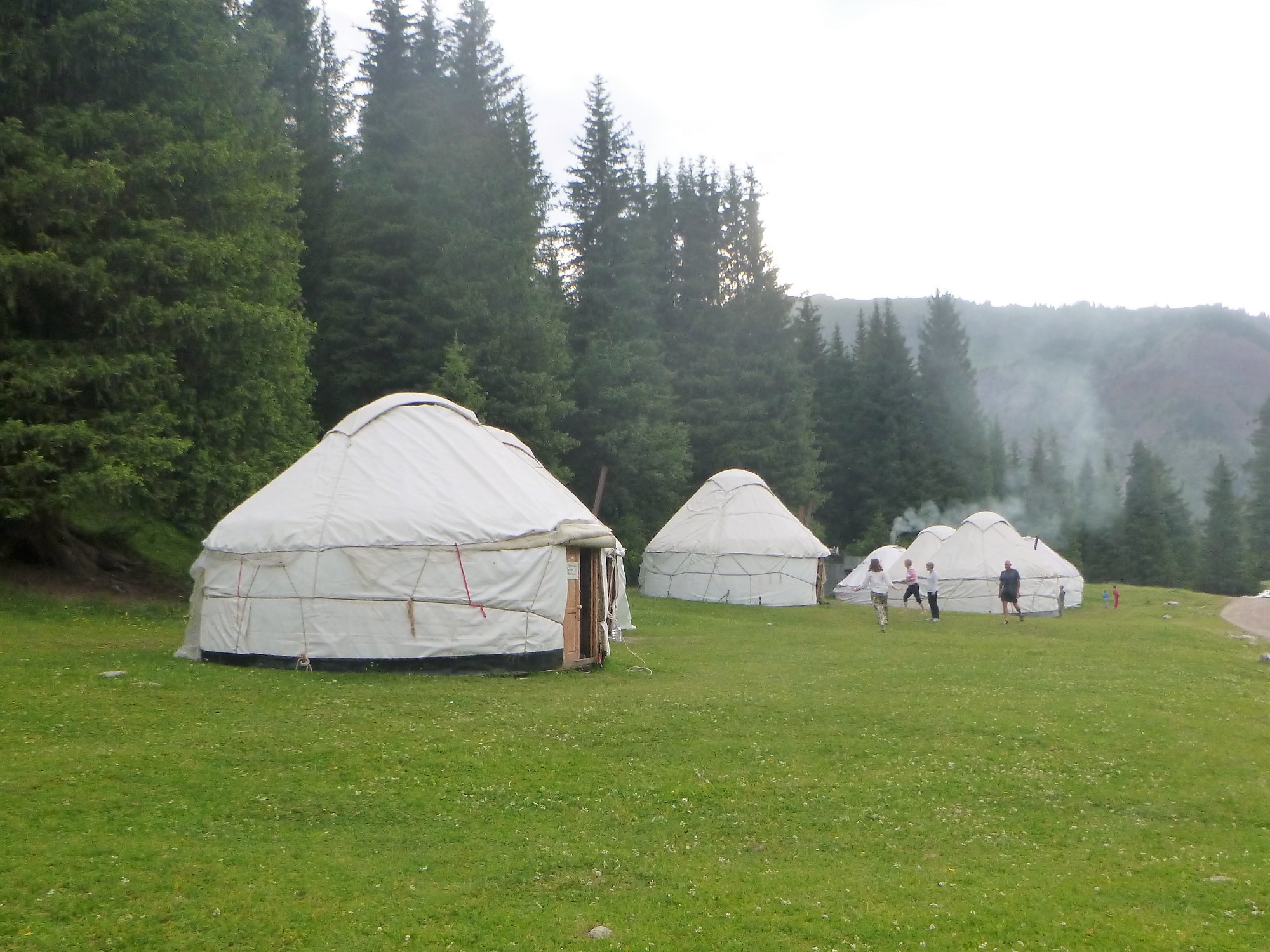 Yurt Camp