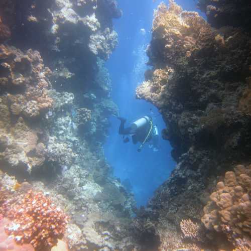 Small Abu Galawa, Egypt