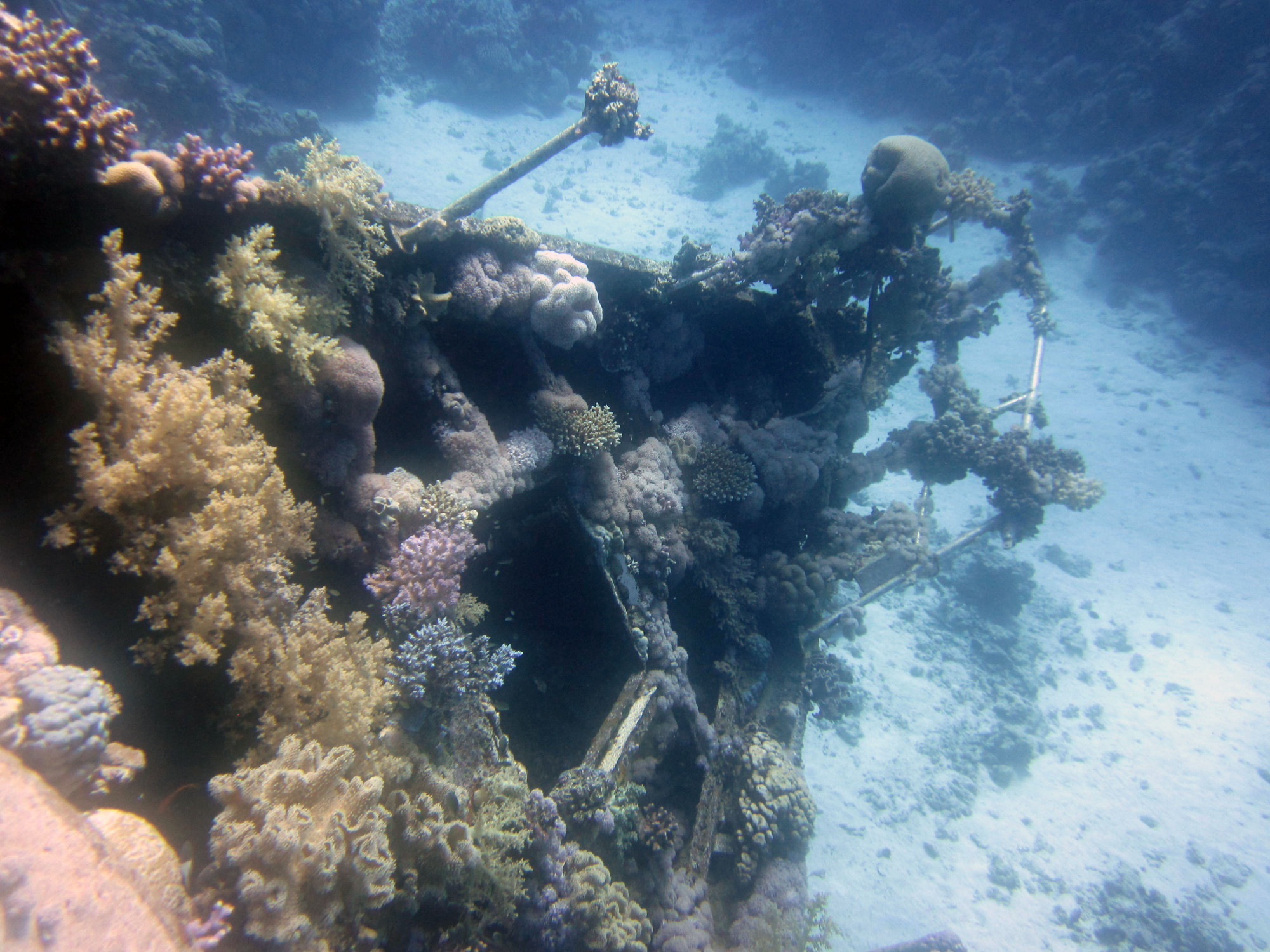 Small Abu Galawa, Egypt