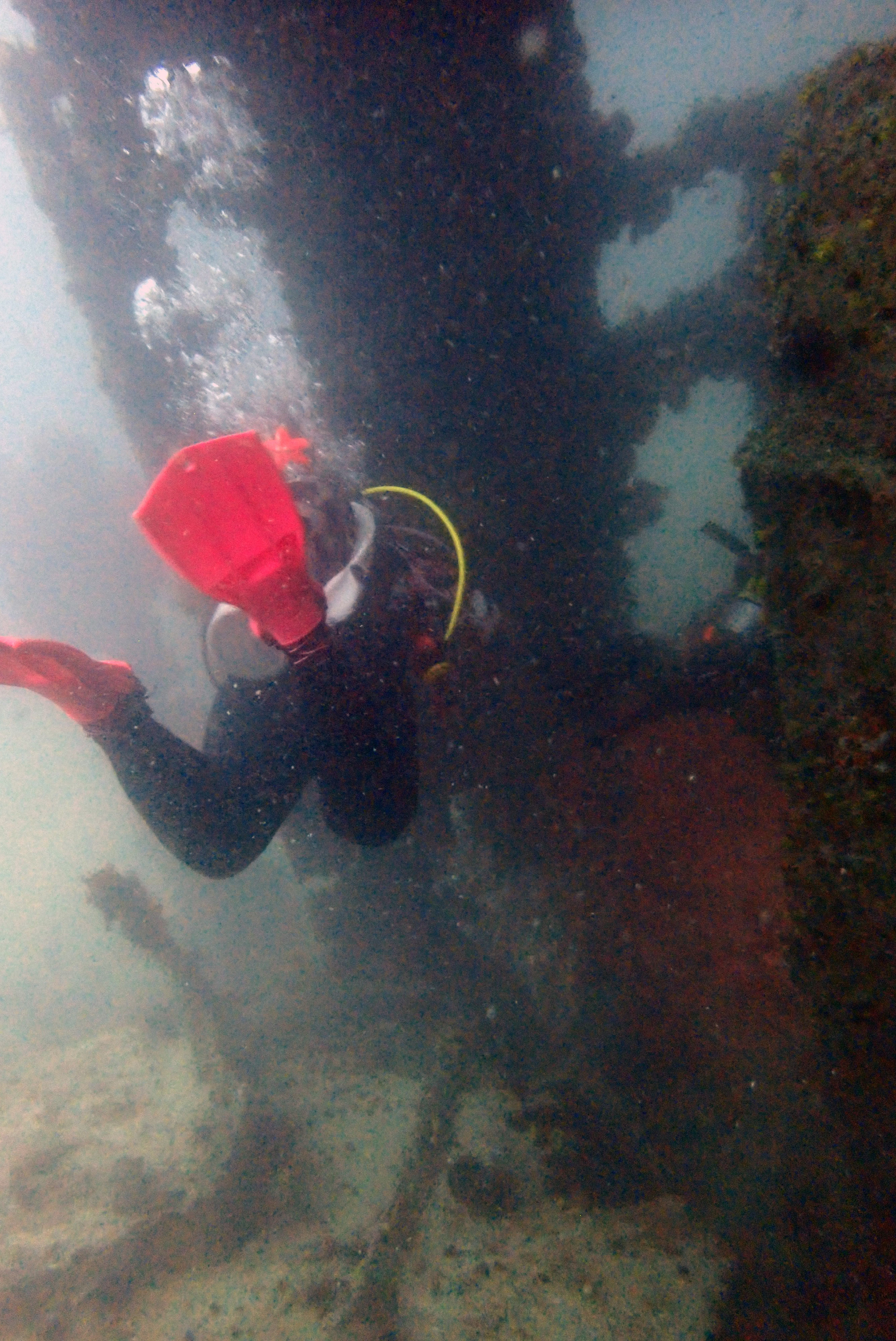 Hardeep Wreck, Таиланд