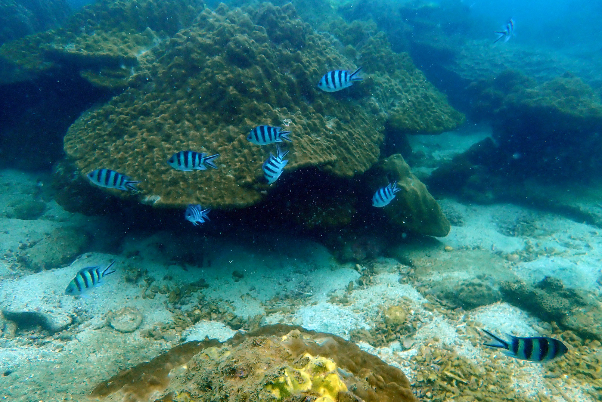 Koh Chuang, Thailand