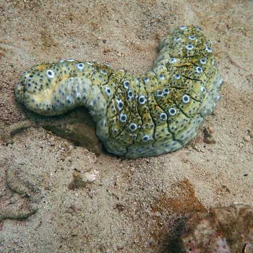 South Point Koh Larn, Thailand