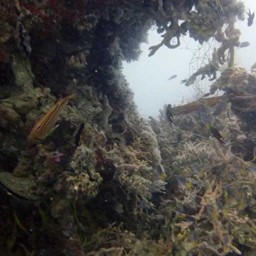 HMTS Khram - Dive Site, Thailand