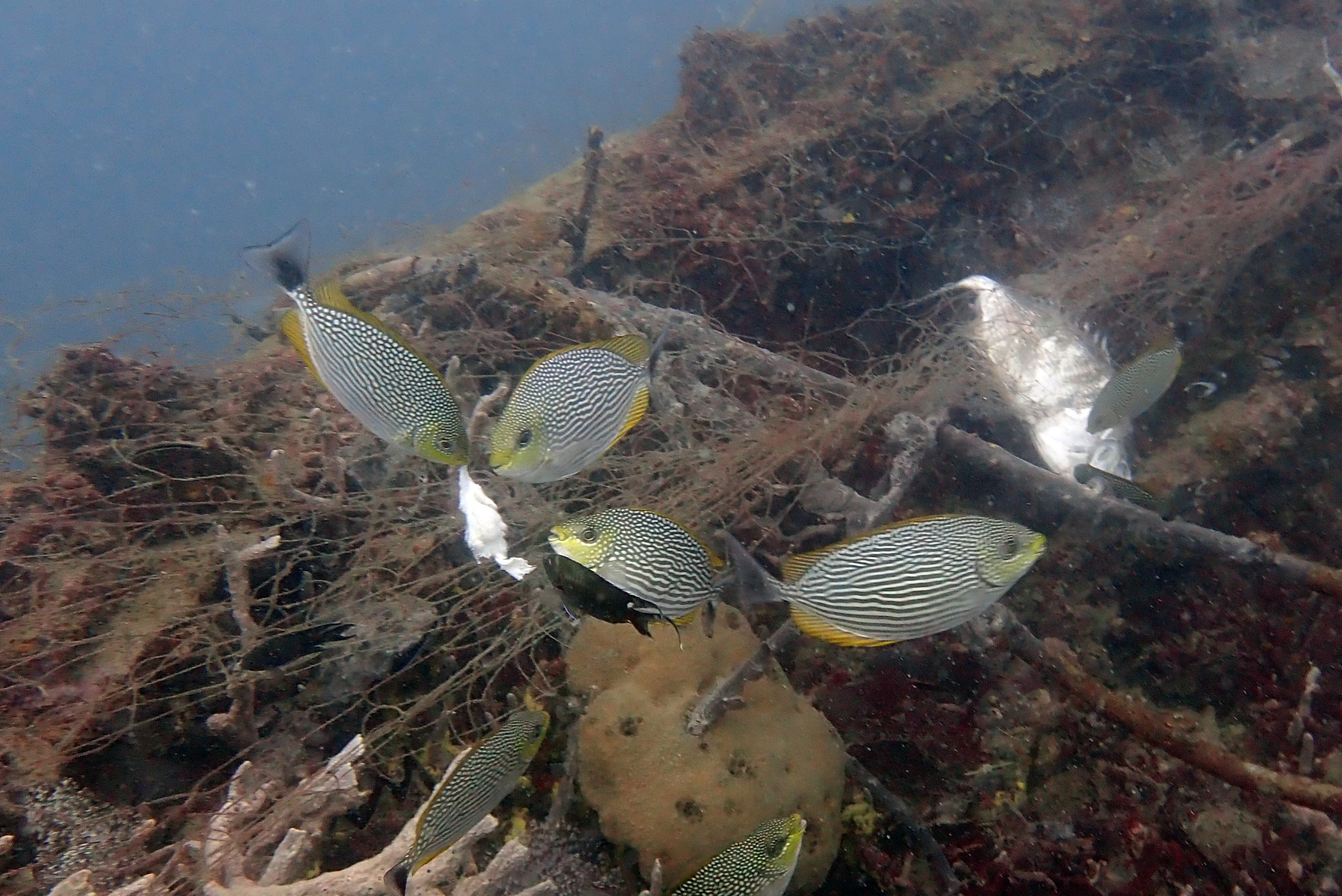 HMTS Khram - Dive Site, Таиланд