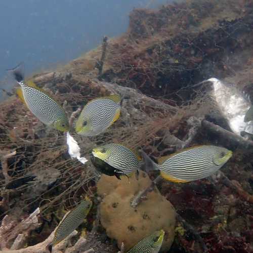 HMTS Khram - Dive Site, Таиланд