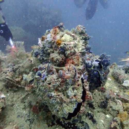 HMTS Khram - Dive Site, Thailand