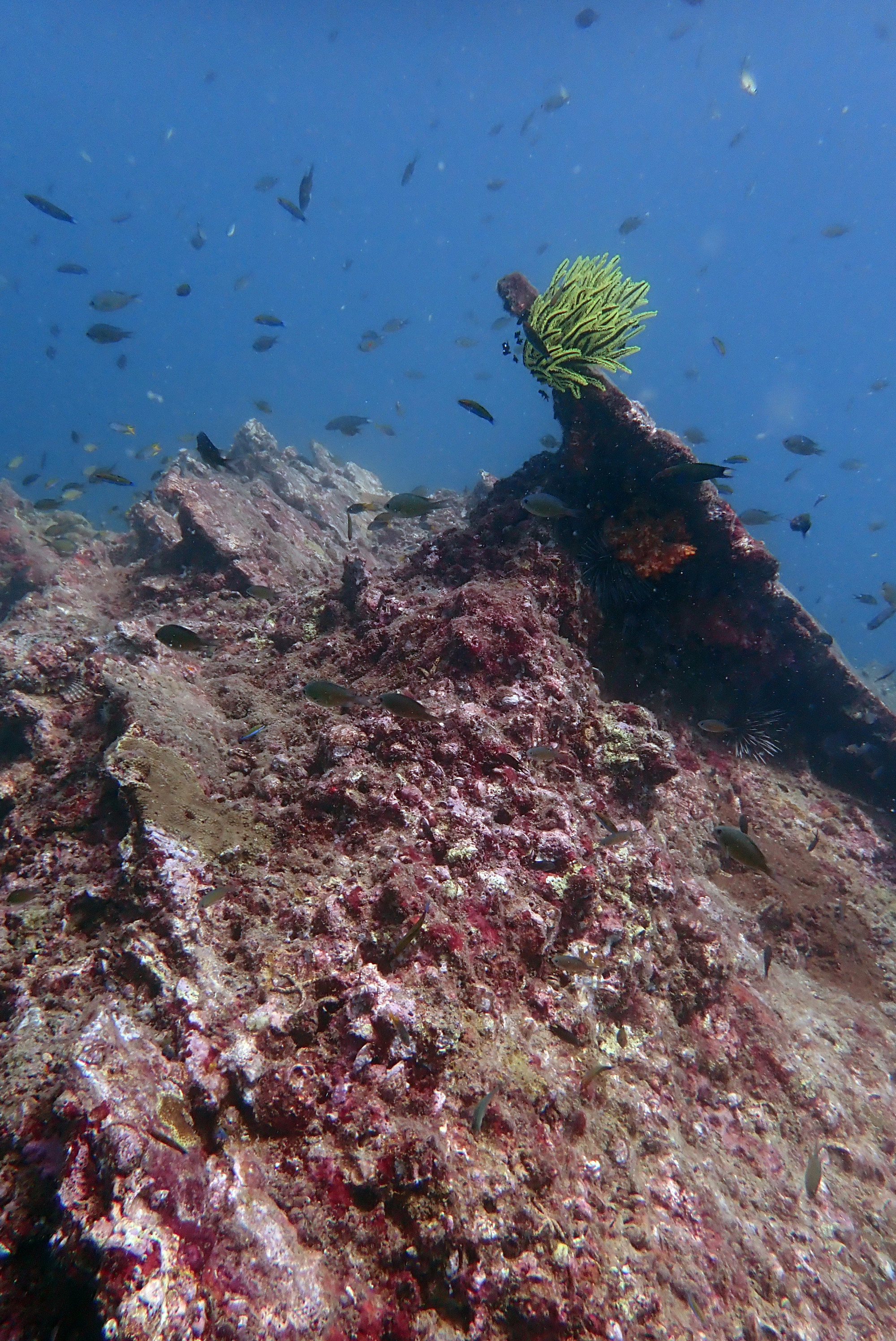 Mushroom Rock Koh Phi Phi, Thailand