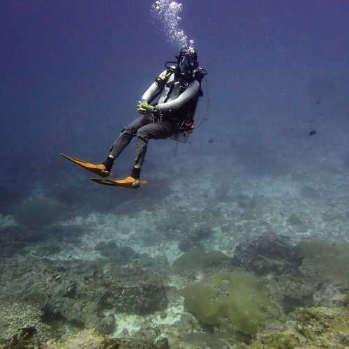 Koh Bon Similan Islands, Thailand