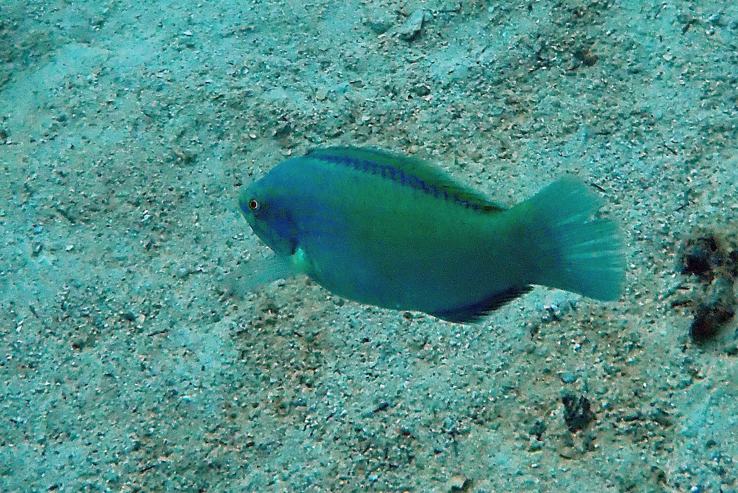 Koh Rang Nang, Thailand