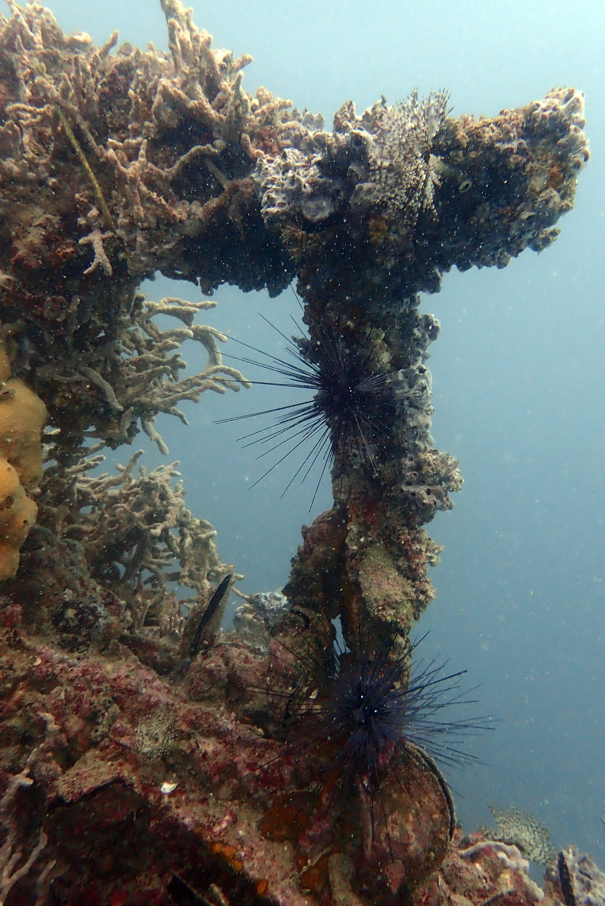 HMTS Khram - Dive Site, Thailand