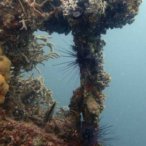 HMTS Khram - Dive Site, Thailand