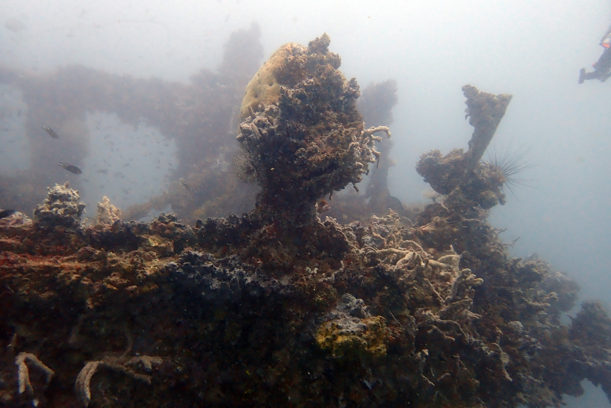 HMTS Khram - Dive Site, Thailand