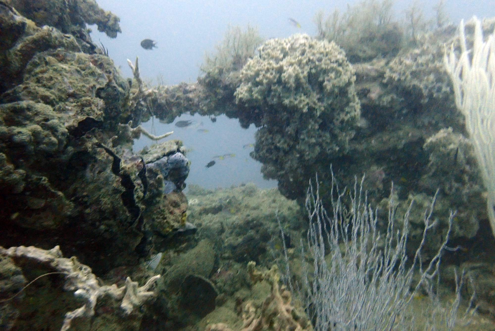 HMTS Khram - Dive Site, Thailand