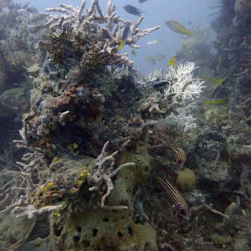 HMTS Khram - Dive Site, Thailand