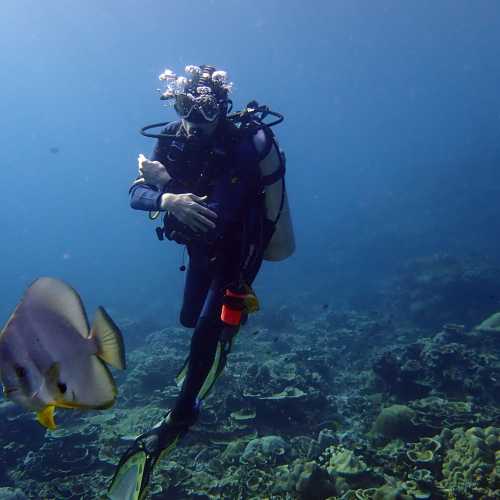 Moi and Batfish