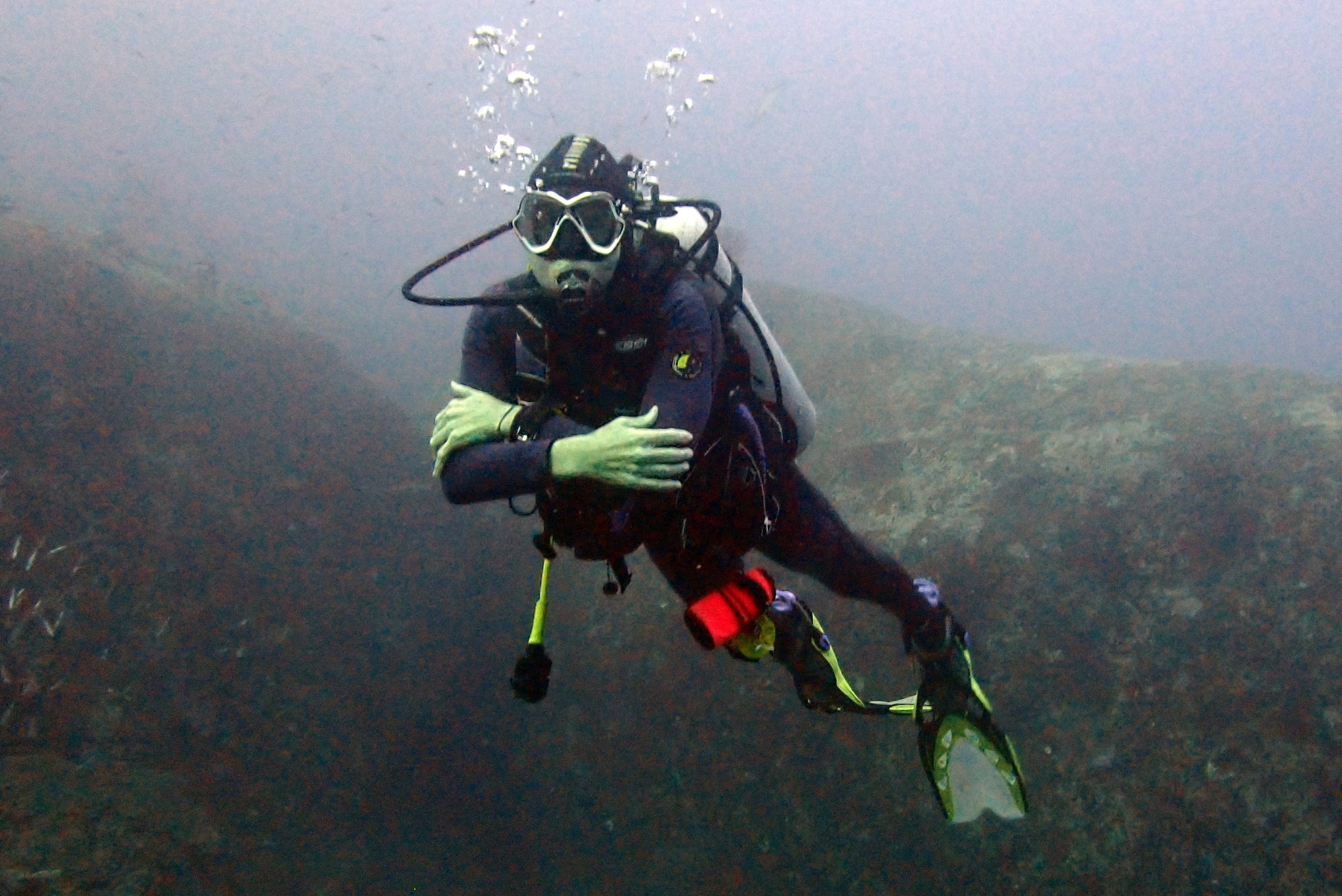 North Point Dive Site Similan Islands, Thailand