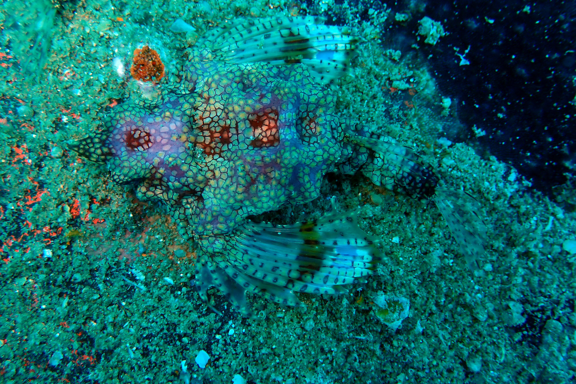 Phra Thong Wreck, Thailand