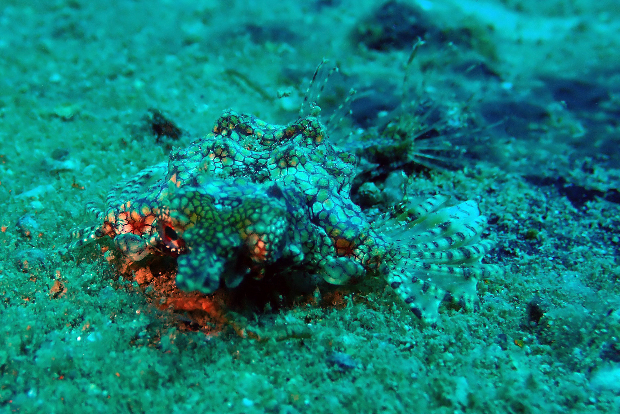 Phra Thong Wreck, Thailand