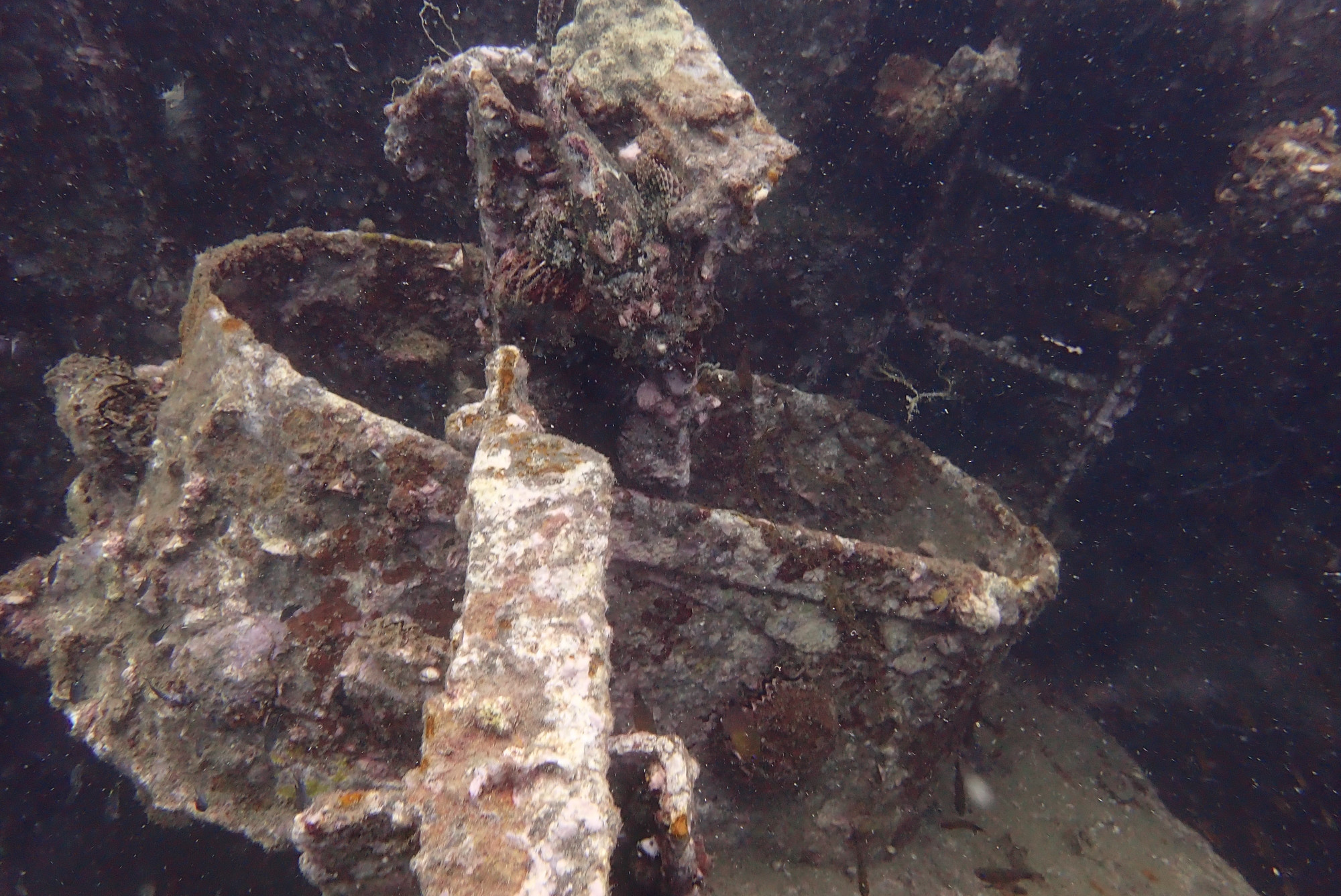 Boonsung Wreck, Thailand