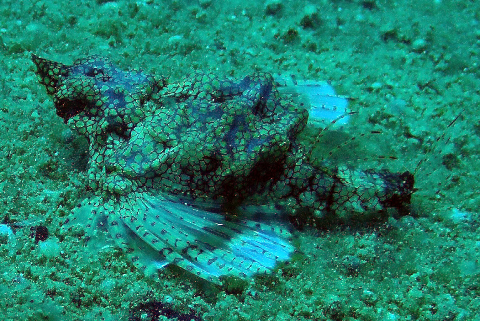 Phra Thong Wreck, Thailand