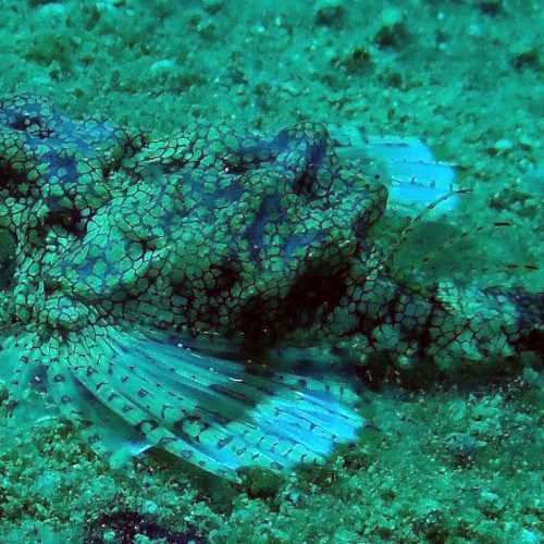 Phra Thong Wreck, Thailand