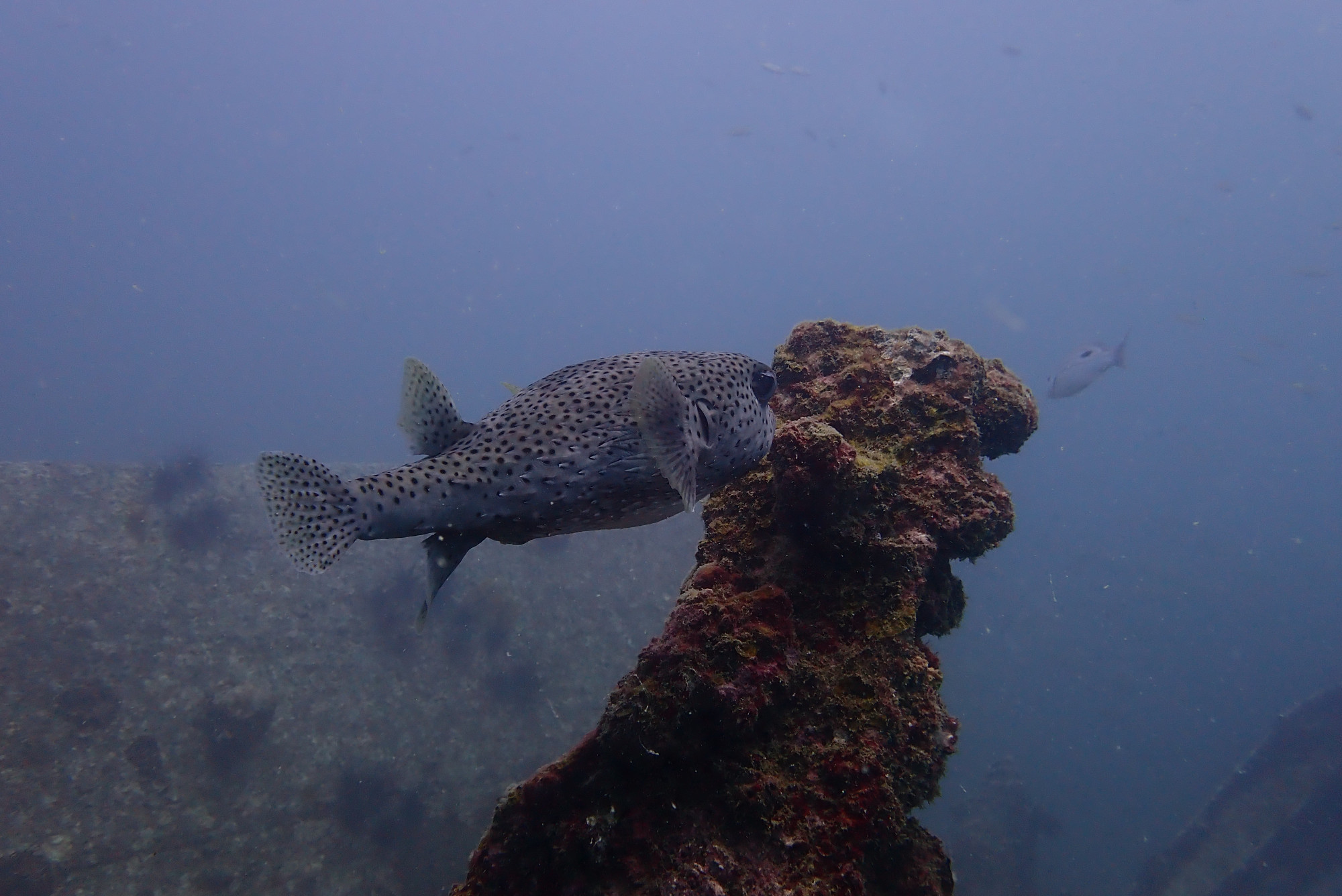 Boonsung Wreck, Thailand