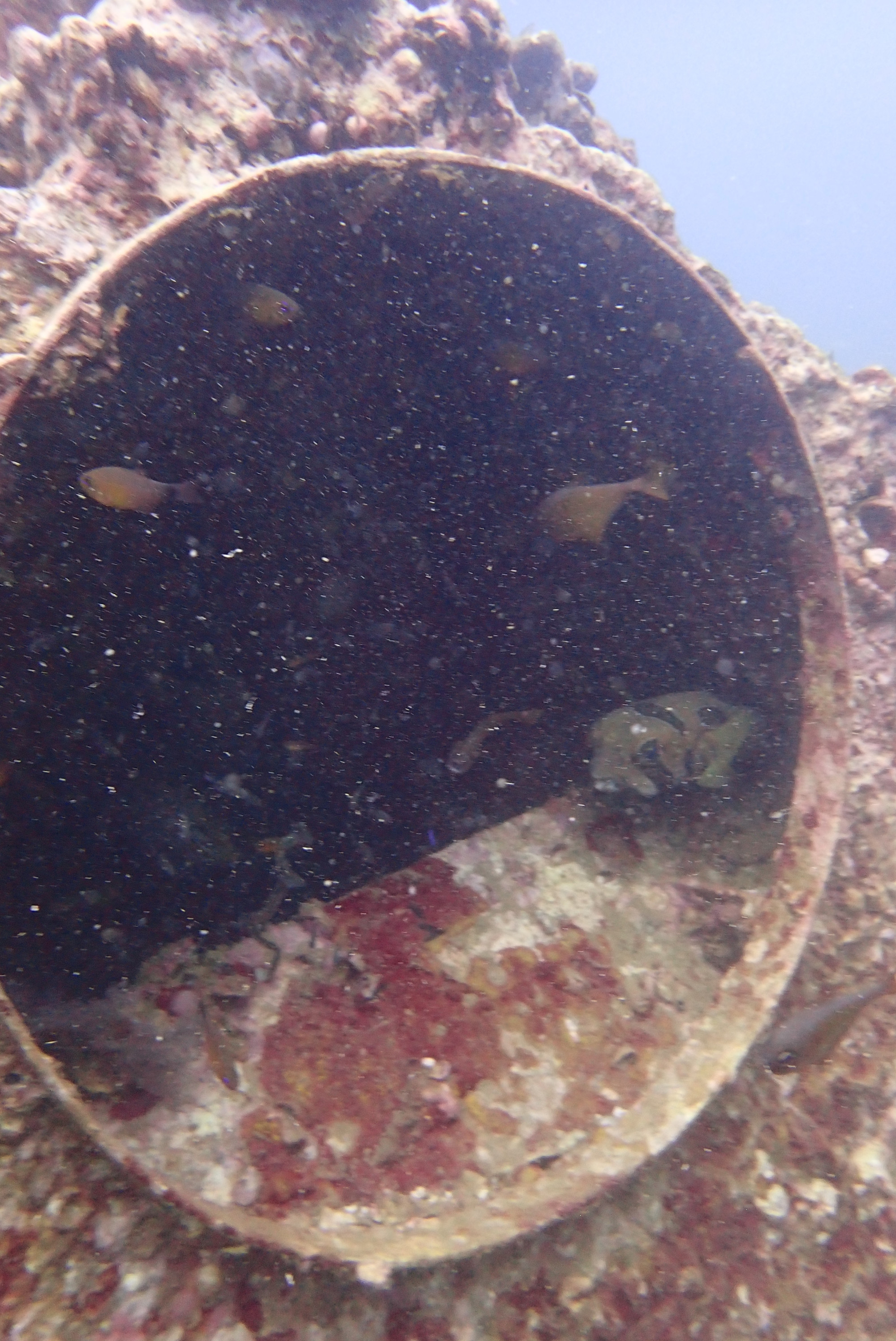 Boonsung Wreck, Thailand