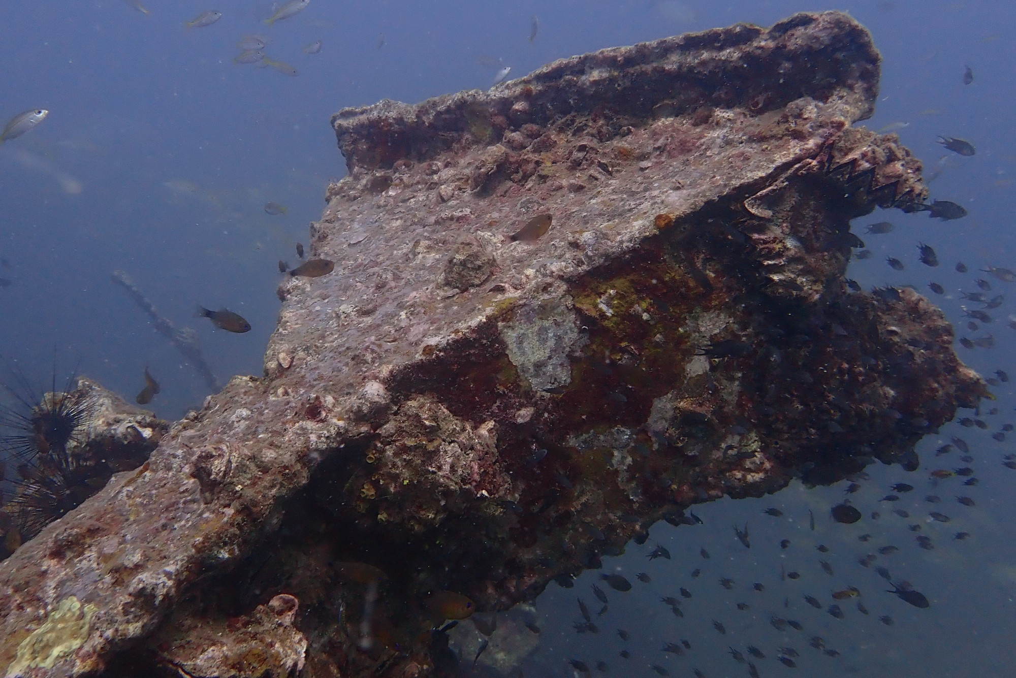 Boonsung Wreck, Thailand