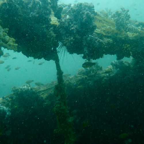 King Cruiser Wreck Dive Site, Таиланд
