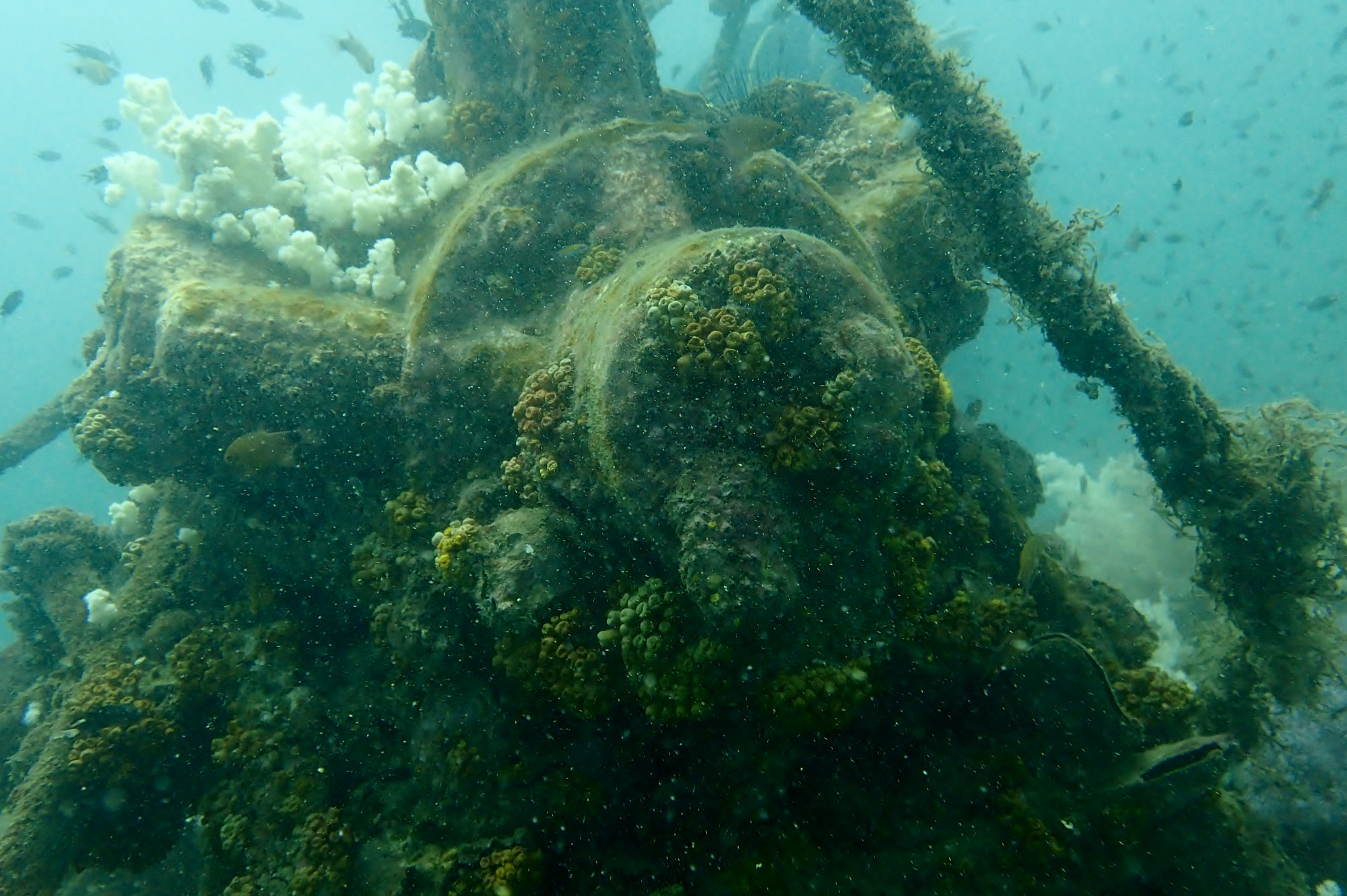 King Cruiser Wreck Dive Site, Thailand