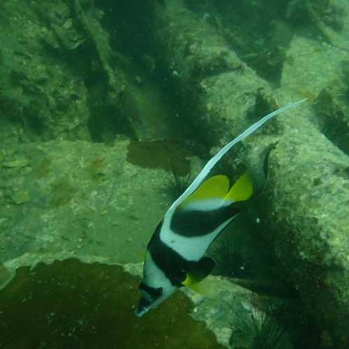 King Cruiser Wreck Dive Site, Thailand