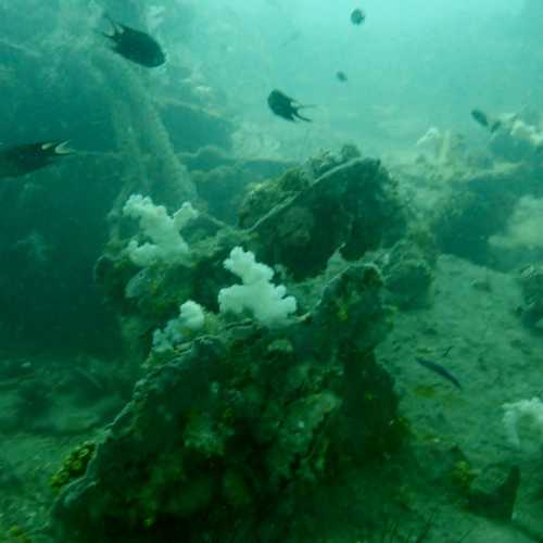 King Cruiser Wreck Dive Site, Thailand