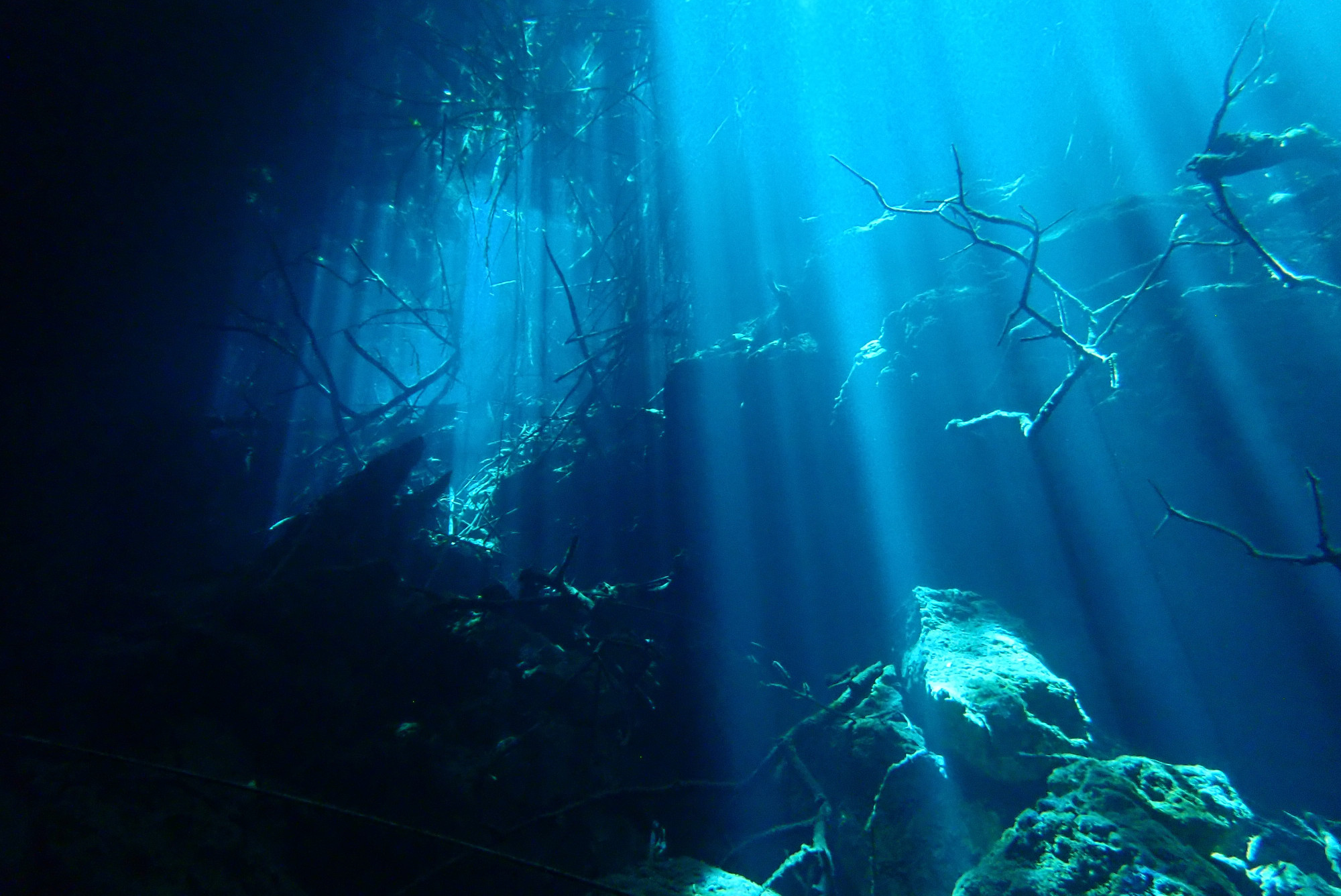 Cenote Dive