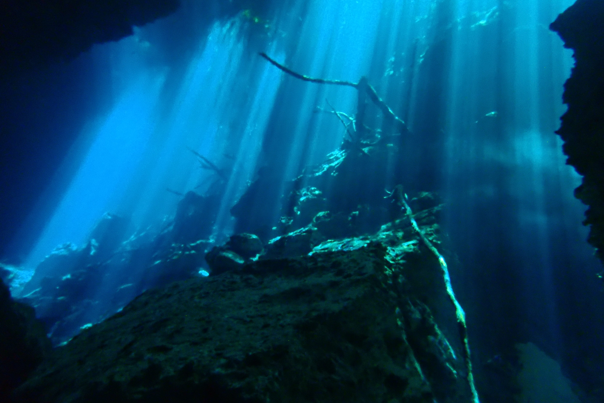 Cenote Dive