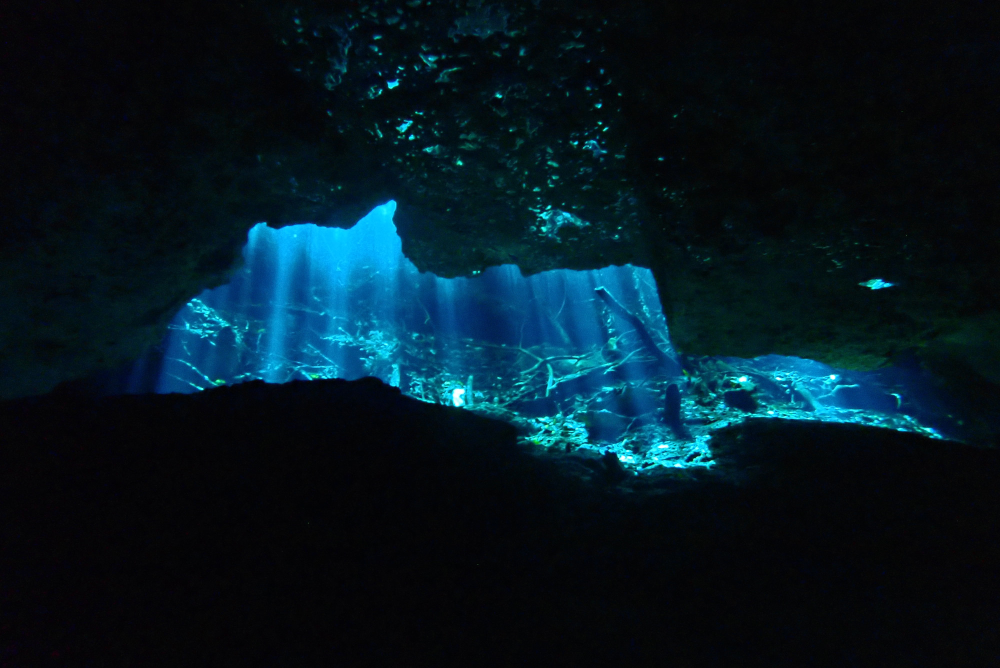 Cenote Tajma Ha, Мексика