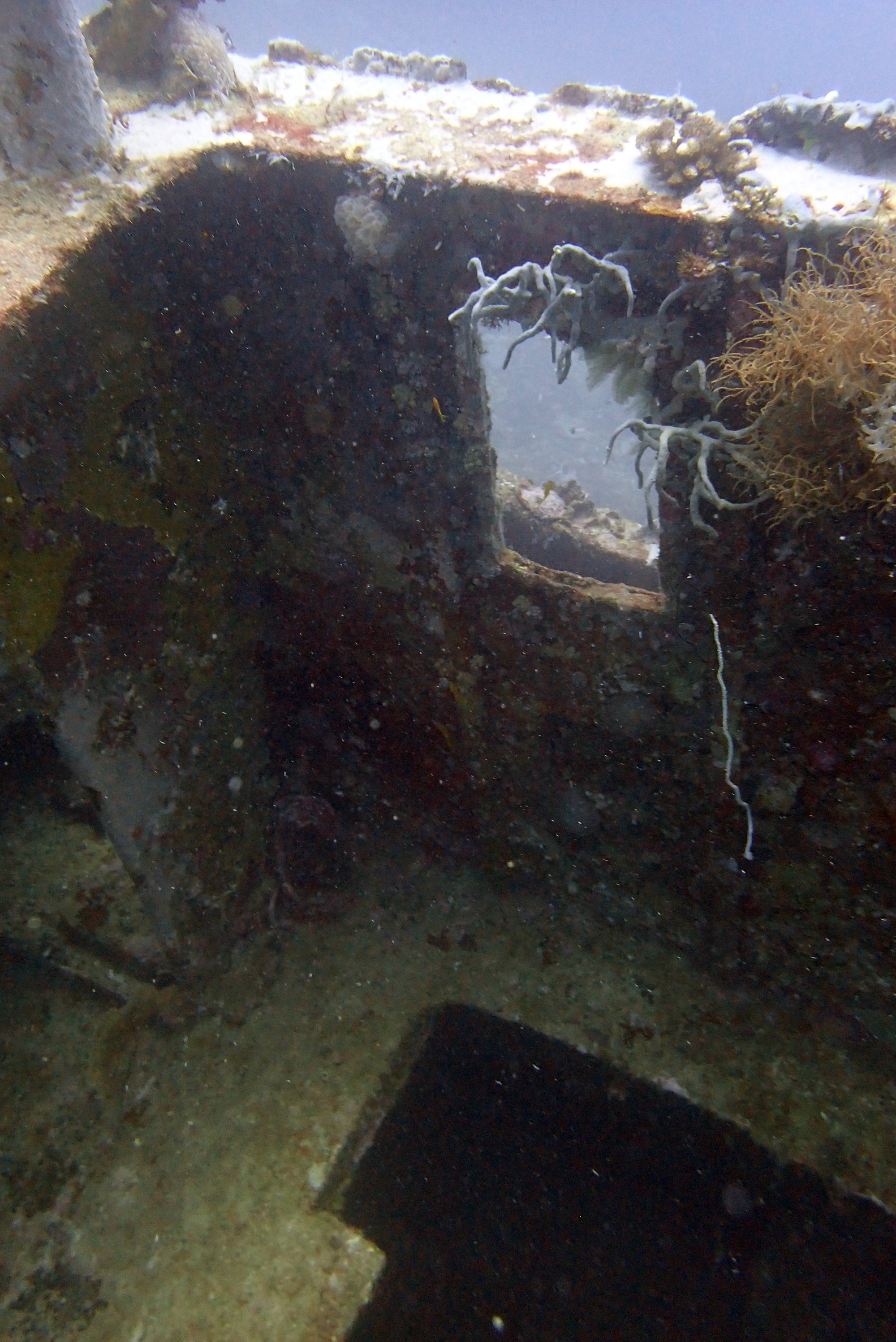 Mitsio Wreck, Madagascar