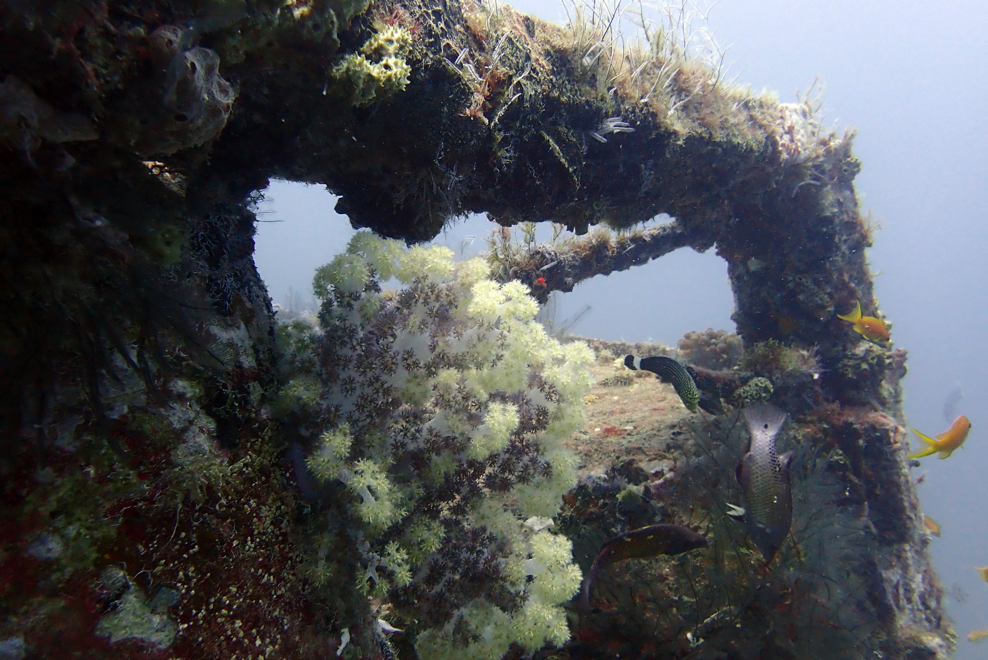 Mitsio Wreck, Мадагаскар