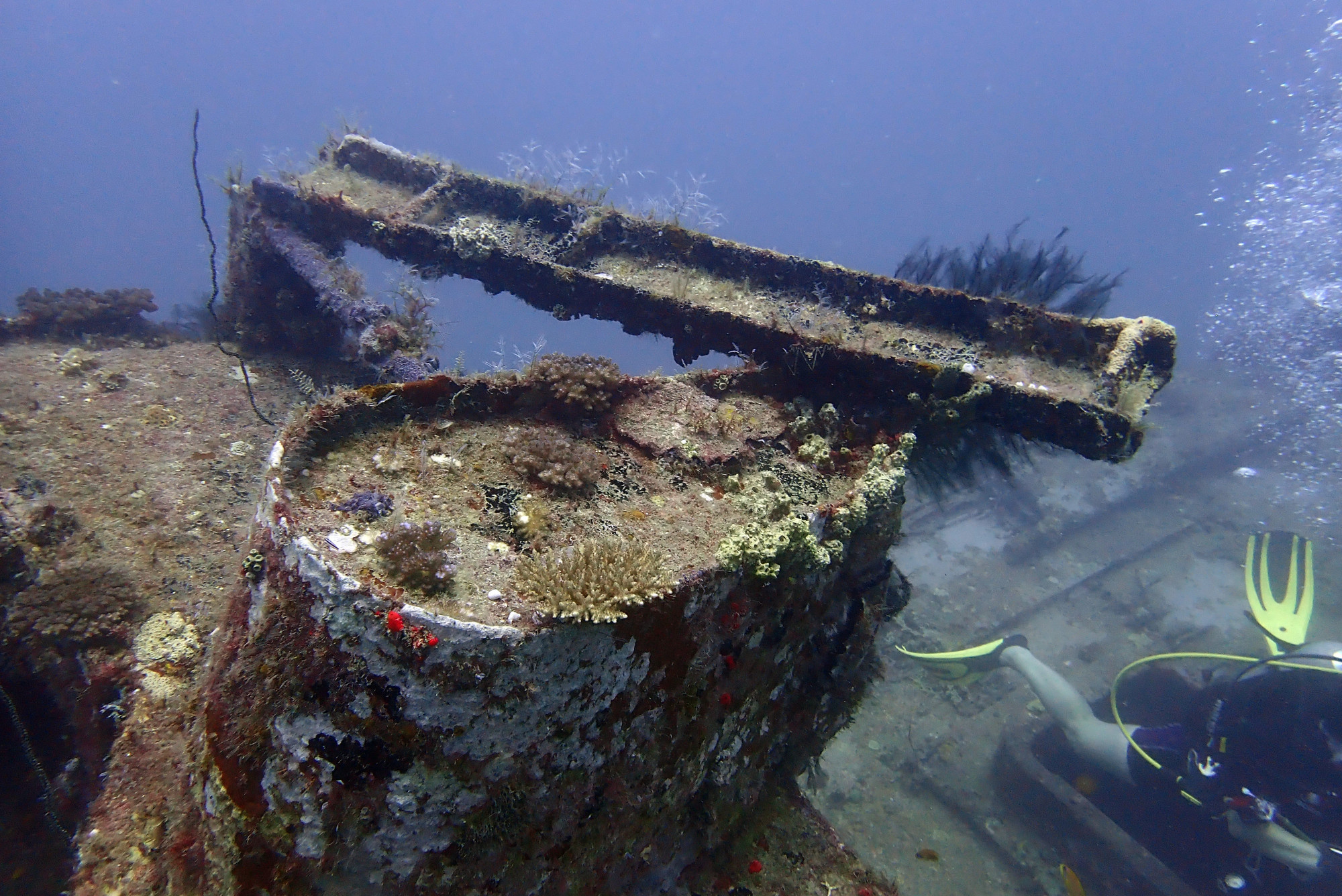 Mitsio Wreck, Madagascar