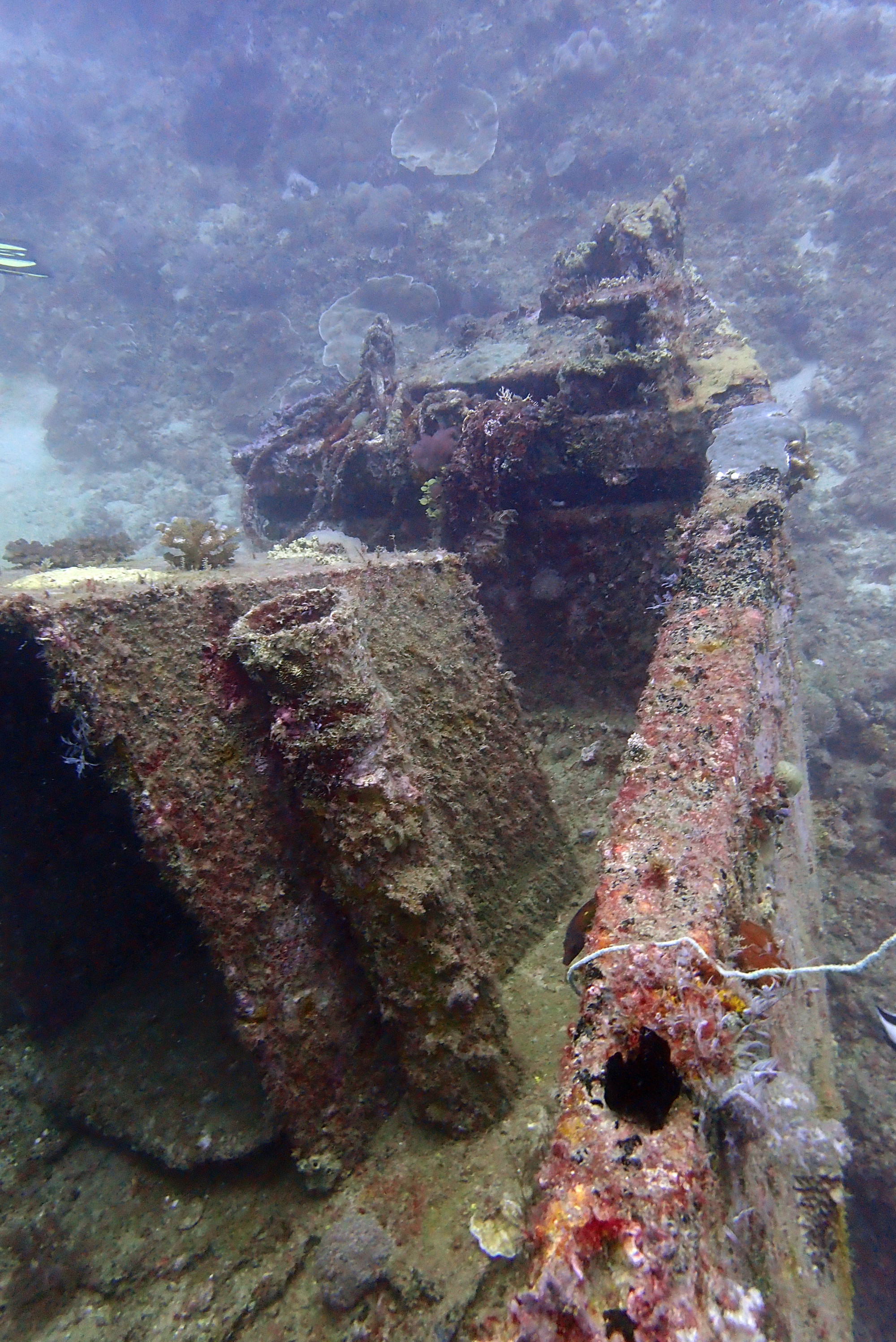 Mitsio Wreck, Madagascar