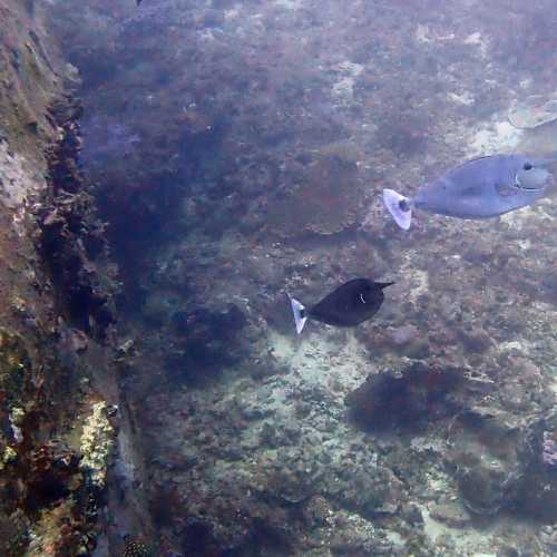 Mitsio Wreck, Madagascar