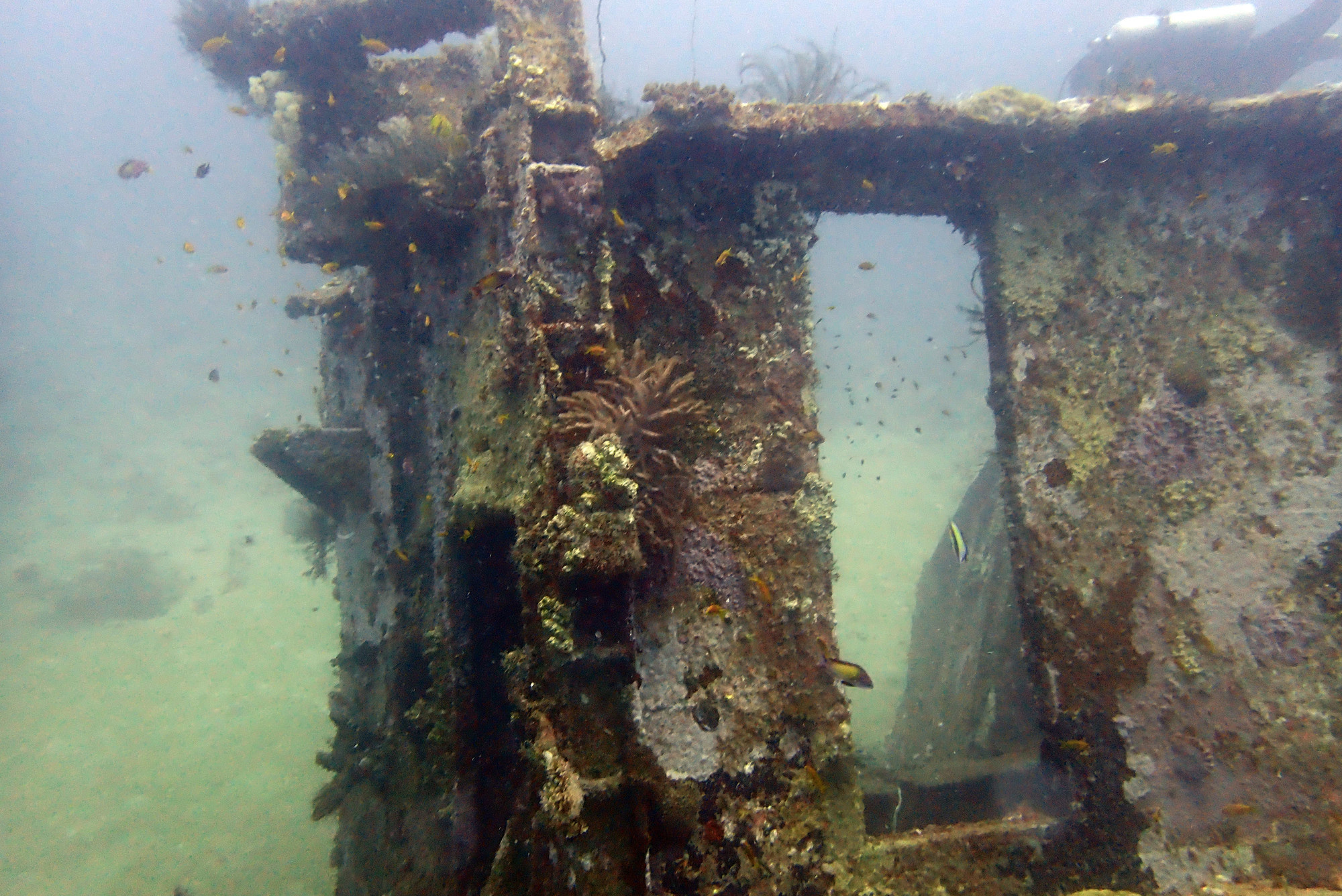 Mitsio Wreck, Madagascar